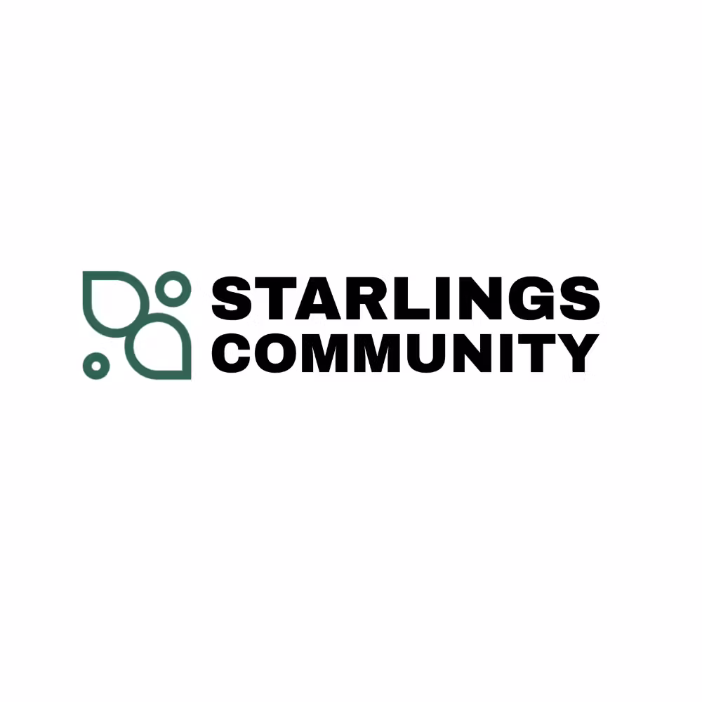 Starlings Peer Empowerment Mentorship